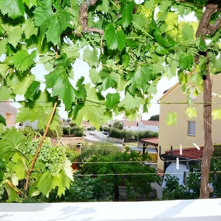 Snjeza Family Oasis Apartmán